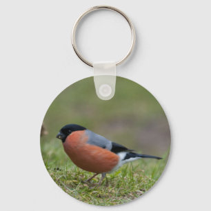 Bullfinch-britischer Vogel-Schlüsselanhänger Schlüsselanhänger