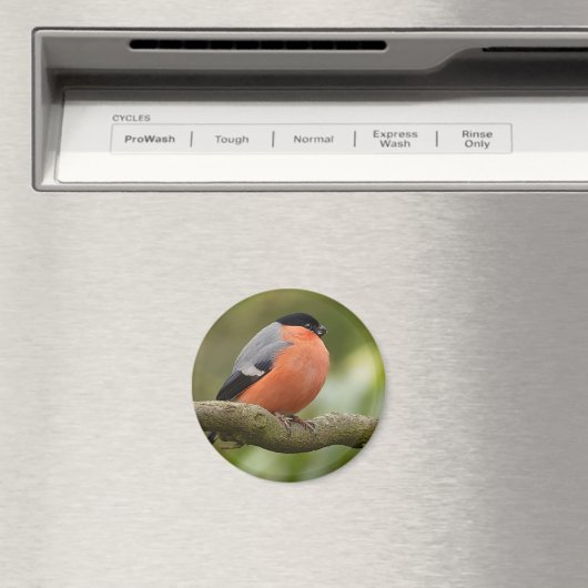 Bullfinch Magnet (In Situ (Geschirrspüler))