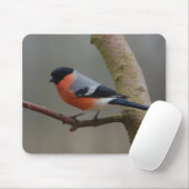 Bullfinch Mousepad (Mit Mouse)