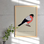 Bullfinch Poster