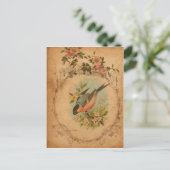 Bullfinch Postkarte (Stehend Vorderseite)