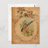 Bullfinch Postkarte (Vorne/Hinten)