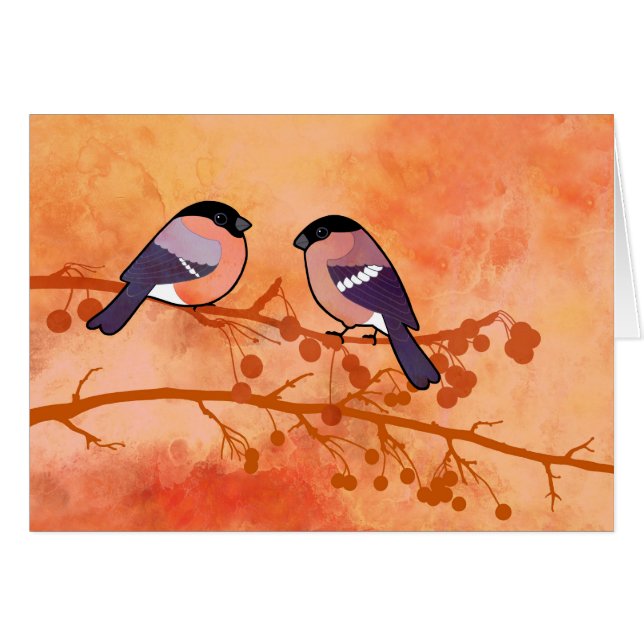 Bullfinch (Pyrrhula Pyrrhula) (Vorderseite (Horizontal))