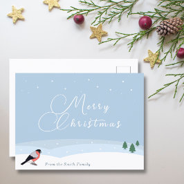 Bullfinch & Snowy Landschaft Frohe Weihnachtskarte Postkarte