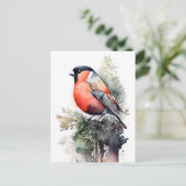 Bullfinch über Wasserfarben auf einer Kiefernstras Postkarte (Stehend Vorderseite)