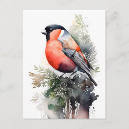 Bullfinch über Wasserfarben auf einer Kiefernstras Postkarte