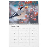 Bullfinch-Vogelkalender Kalender (Jan 2026)