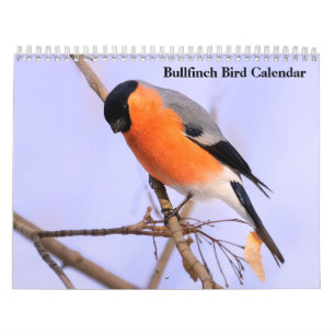 Bullfinch-Vogelkalender Kalender