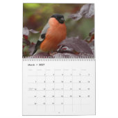 Bullfinch-Vogelkalender Kalender (Mär 2027)