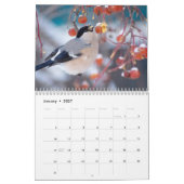 Bullfinch-Vogelkalender Kalender (Jan 2027)