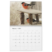 Bullfinch-Vogelkalender Kalender (Feb 2027)