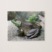 Bullfrog auf Felslandschaft Puzzle (Horizontal)