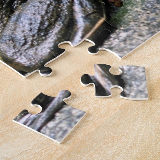 Bullfrog auf Felslandschaft Puzzle (Seite)