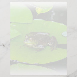 Bullfrog auf Lilypads