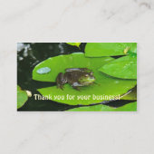 Bullfrog auf Lilypads Business Card Visitenkarte (Rückseite)