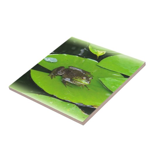 Bullfrog auf Lilypads Fliese (Seite)