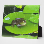 Bullfrog auf Lilypads Fotoplatte (Seite)