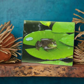 Bullfrog auf Lilypads Fotoplatte (Seite)