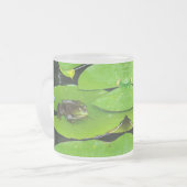 Bullfrog auf Lilypads Mattglastasse (Vorderseite Links)