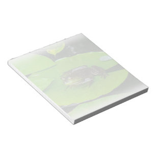Bullfrog auf Lilypads Notizblock