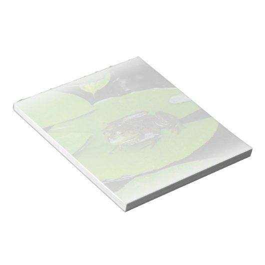 Bullfrog auf Lilypads Notizblock (angewinkelt)