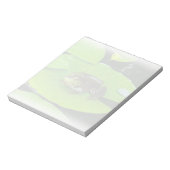 Bullfrog auf Lilypads Notizblock (Rotiert)