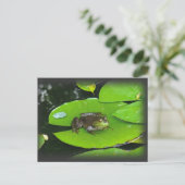 Bullfrog auf Lilypads Postkarte (Stehend Vorderseite)