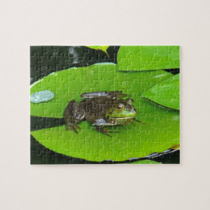 Bullfrog auf Lilypads Puzzle