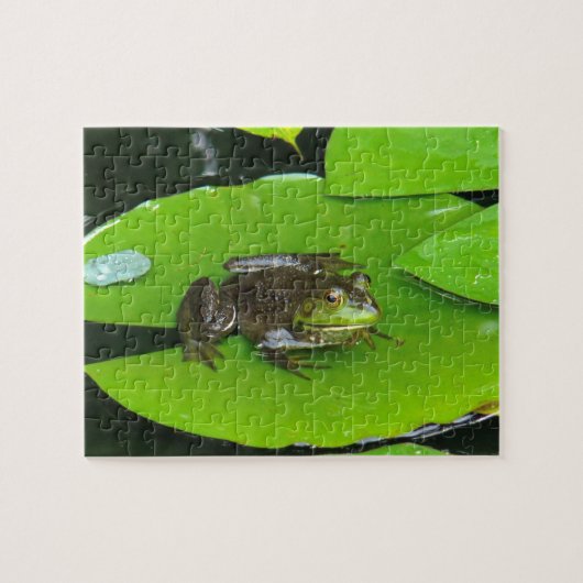 Bullfrog auf Lilypads Puzzle (Horizontal)