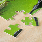 Bullfrog auf Lilypads Puzzle (Seite)