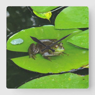Bullfrog auf Lilypads Quadratische Wanduhr