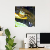Bullfrog Baden Beauty Poster (Heimbüro)
