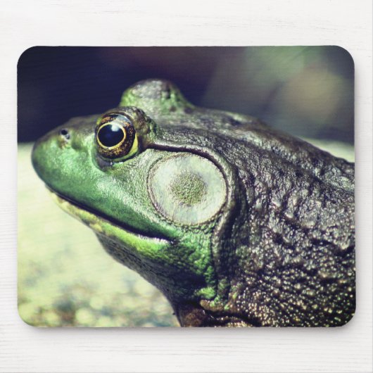 Bullfrog Gedanken Natur Mousepad (Vorne)