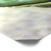 Bullfrog Gedanken Natur Poster (Ecke)