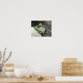 Bullfrog Gedanken Natur Poster (Küche)