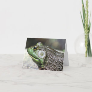 Bullfrog-Gedanken Naturfotografie-Notiz Karte