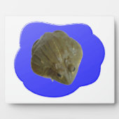 Bullfrog in der Teichebene Fotoplatte (Vorderseite)