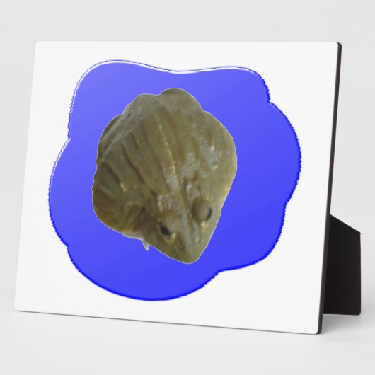 Bullfrog in der Teichebene Fotoplatte (Seite)