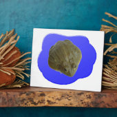 Bullfrog in der Teichebene Fotoplatte (Seite)