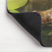 Bullfrog in Lily Pond Mousepad (Ecke)