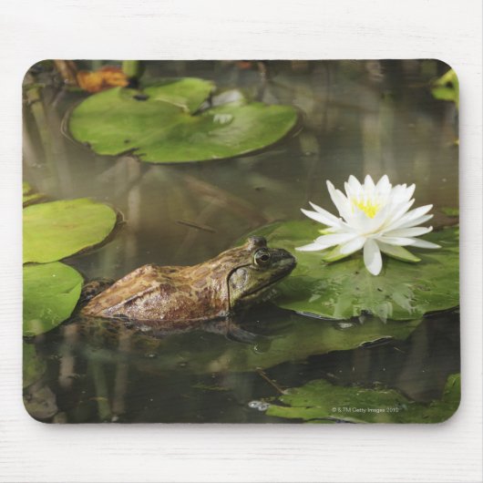 Bullfrog in Lily Pond Mousepad (Vorne)