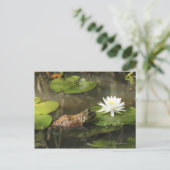 Bullfrog in Lily Pond Postkarte (Stehend Vorderseite)