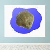 Bullfrog in Pond Canvas Print Leinwanddruck (Insitu (Holzboden))