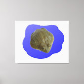 Bullfrog in Pond Canvas Print Leinwanddruck (Vorderseite)