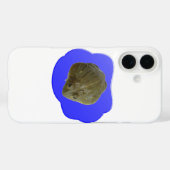 Bullfrog in Pond iPhone 5 Fall Case-Mate iPhone Hülle (Rückseite (Horizontal))