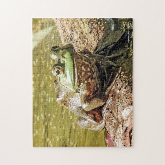 Bullfrog Jigsaw Puzzle (Vertikal)