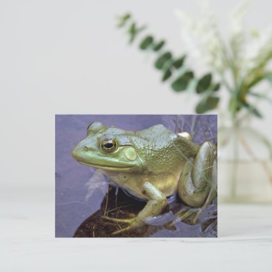 Bullfrog, Lake St. Peter, Ontario, Kanada Postkarte (Stehend Vorderseite)