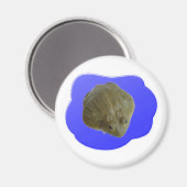 Bullfrog Magnet (Vorderseite/Rückseite)