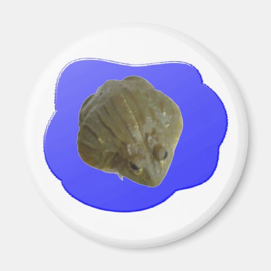 Bullfrog Magnet (Vorne)