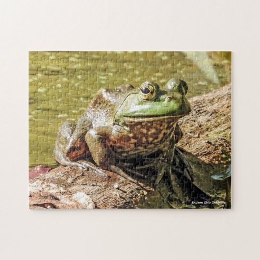 Bullfrog-Puzzle Puzzle (Horizontal)